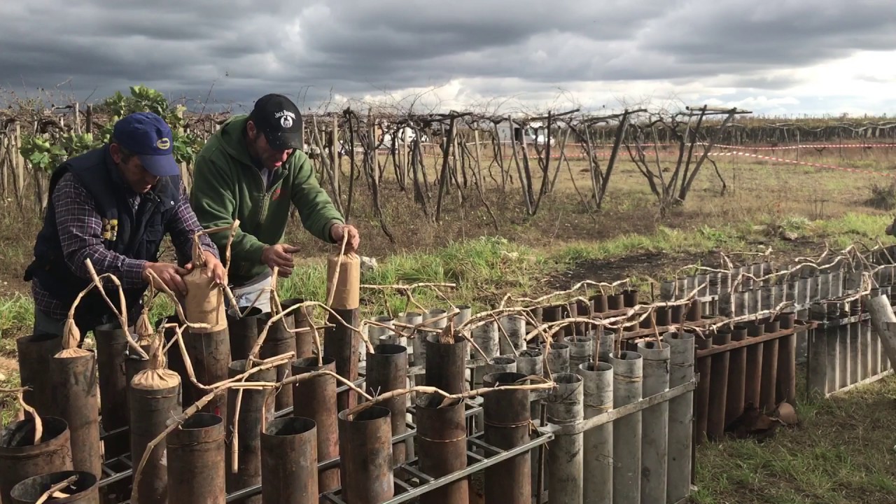 Firework Shell Drying Firework Shells - YouTube
