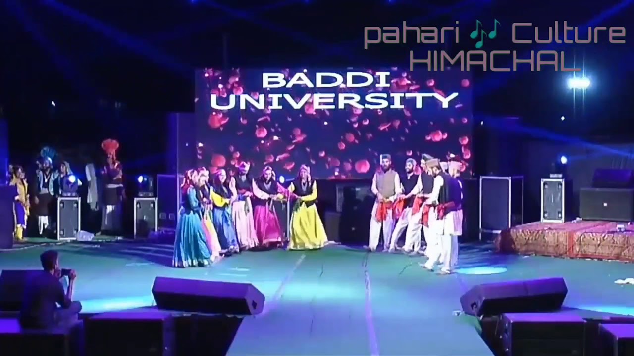 Baddi University  Himachal  folk dance 