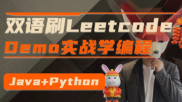 Demo实战刷题教程，Leetcode入门教学，Python+Java 双语刷Leetcode