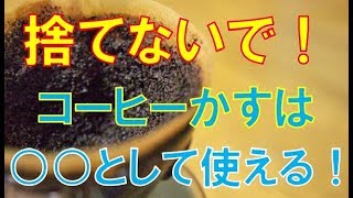 捨てないで！コーヒーかすの驚きの再利用とは？！実は超優秀！すぐに試してみて！