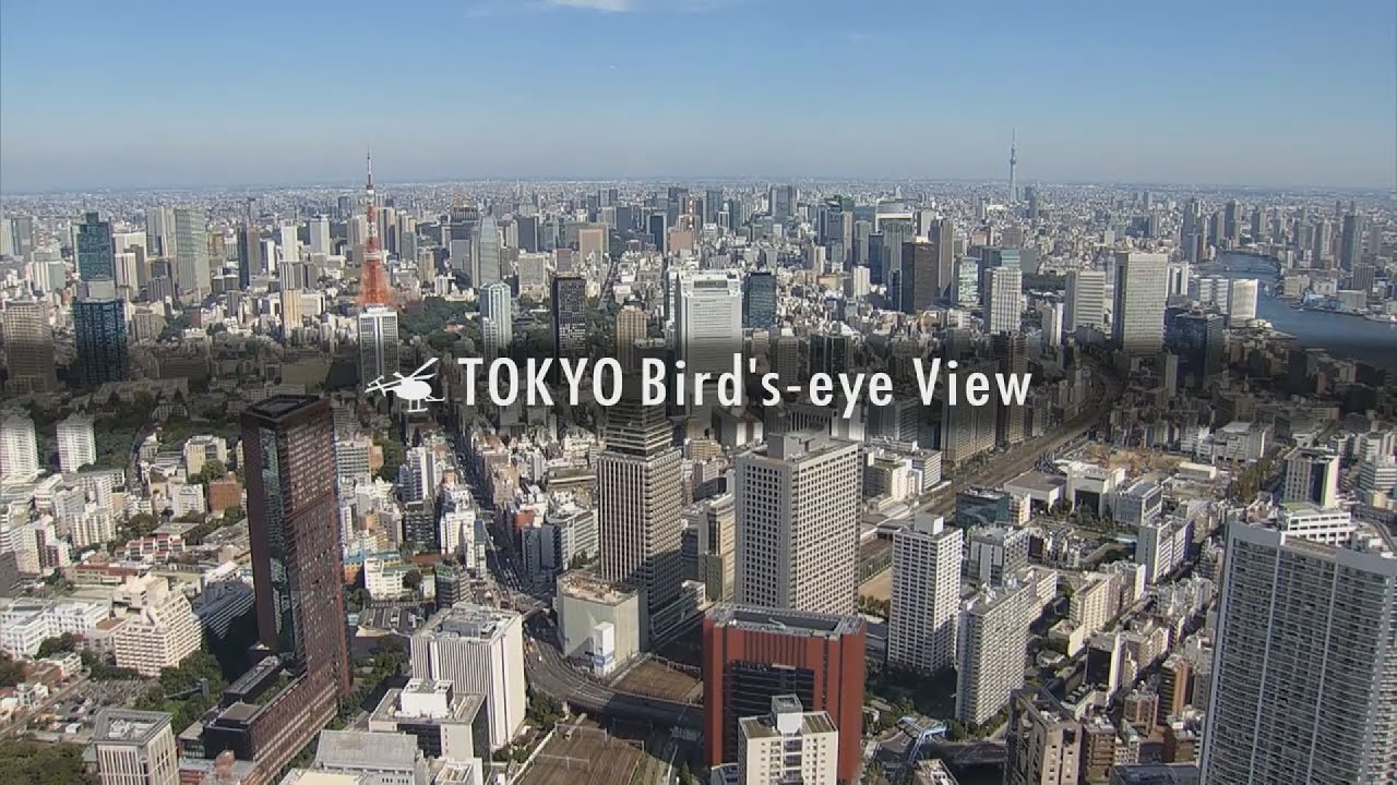 市場 Blu R Bird S Eye Tokyo 東京空撮夜景