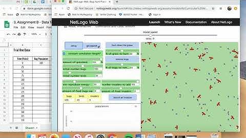 Predator-Prey Simulation - Trial 1