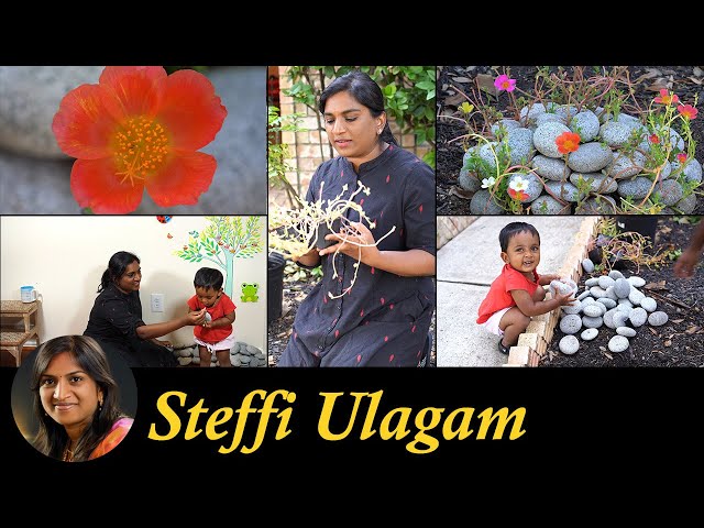 Garden Decoration Vlog in Tamil | Growing 10 o'clock plant | Steffi Ulagam class=