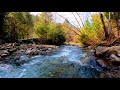 Relaxing River Sounds. Calming Nature Sounds Sleep, No Birds. (10 Hours). White Noise for Sleeping.