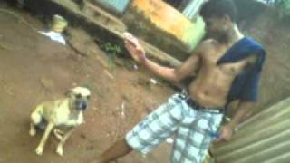 Mc Bang- Benaldo -Garota Exitante