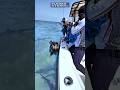 FISHING ROD VS MONSTER FISH❗ Pull in Tuna Before They Grab You❗😱 #amazing #fishing #yellowfintuna