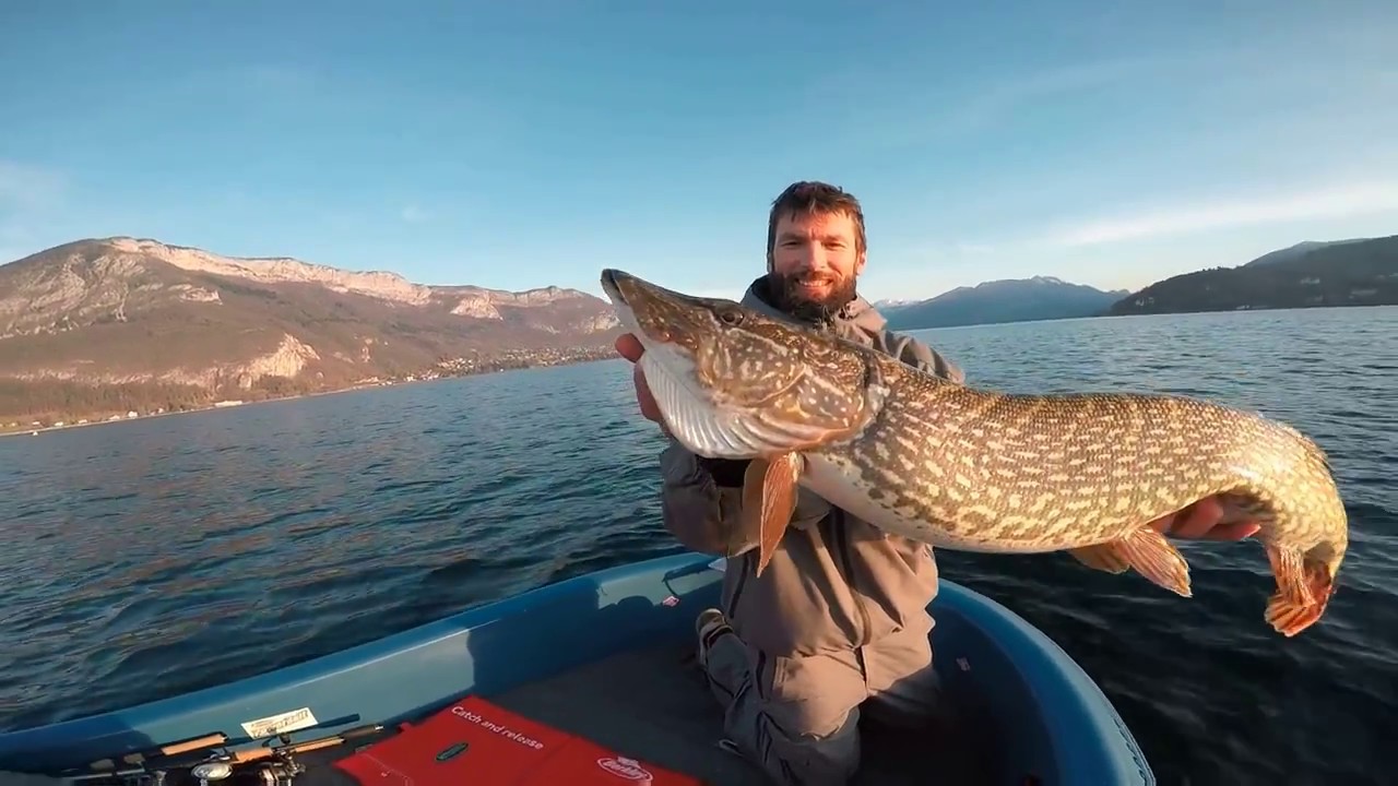 Grand brochet du lac d'Annecy avec Ludo YouTube