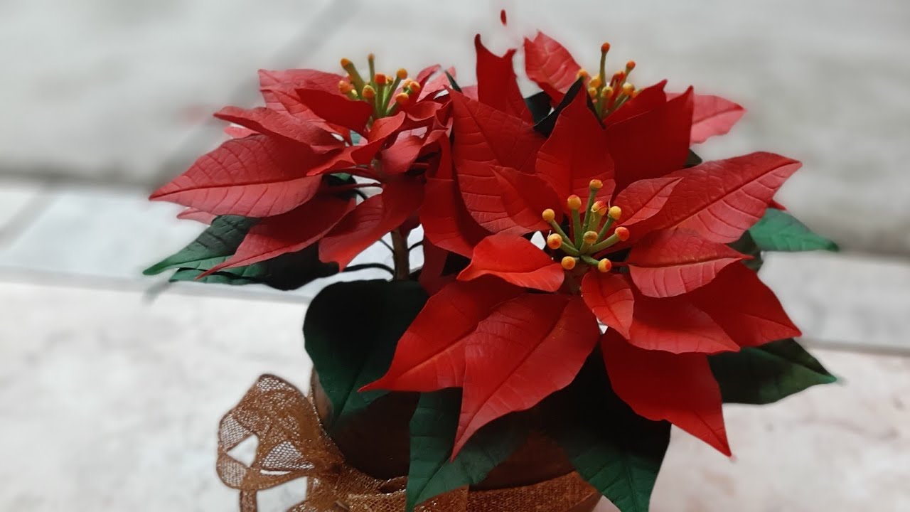 flor de natal... flor Bico de papagaio em e v a com forma perfeita da flor..fácil  fácil de fazer - thptnganamst.edu.vn