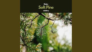 Soft Pine
