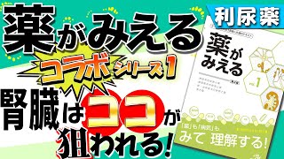 【薬がみえる×薬juku】利尿薬に自信がない人集合！5本の動画で国家試験問題が解けるようになる完全講義！