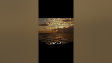 القارئ سالم الرويلي | سورة نوح🤎.