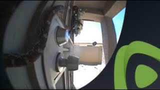 Security camera motion detector captures snake crawling across front door screenshot 2