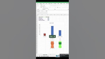 Excel Tips and Tricks - How to use images to customize Bar Charts in Excel