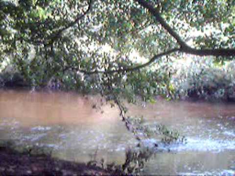 River at Etherow Country Park