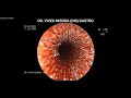 METAL STENTING FOR ESOPHAGEAL CARCINOMA