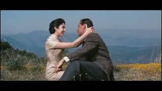 Soundtrack & Matt Monro - Love is a Many Splendored Thing (Subtitulado/HCP) Versión Original