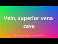 Vein, superior vena cava - Medical Meaning and Pronunciation