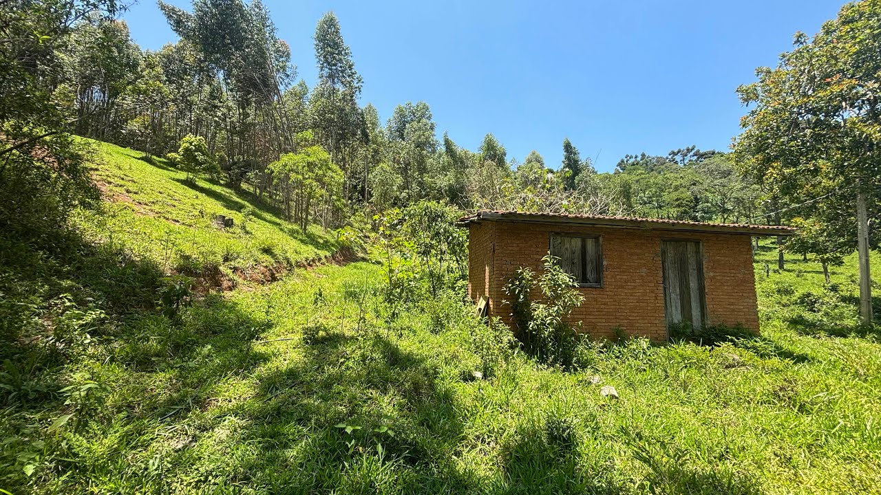 Chácara 6.500 m2 R$ 130.000,00- Cambuí-MG escritura registrada- água e energia elétrica 