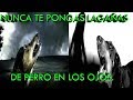 No te Pongas Lagaña de Perro a los Ojos Porque Veras fantasmas.