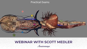 Anatomage Webinar with Scott Medler | How to Build an Anatomy Curriculum with the Anatomage Table