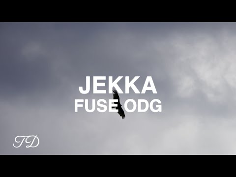Fuse ODG -