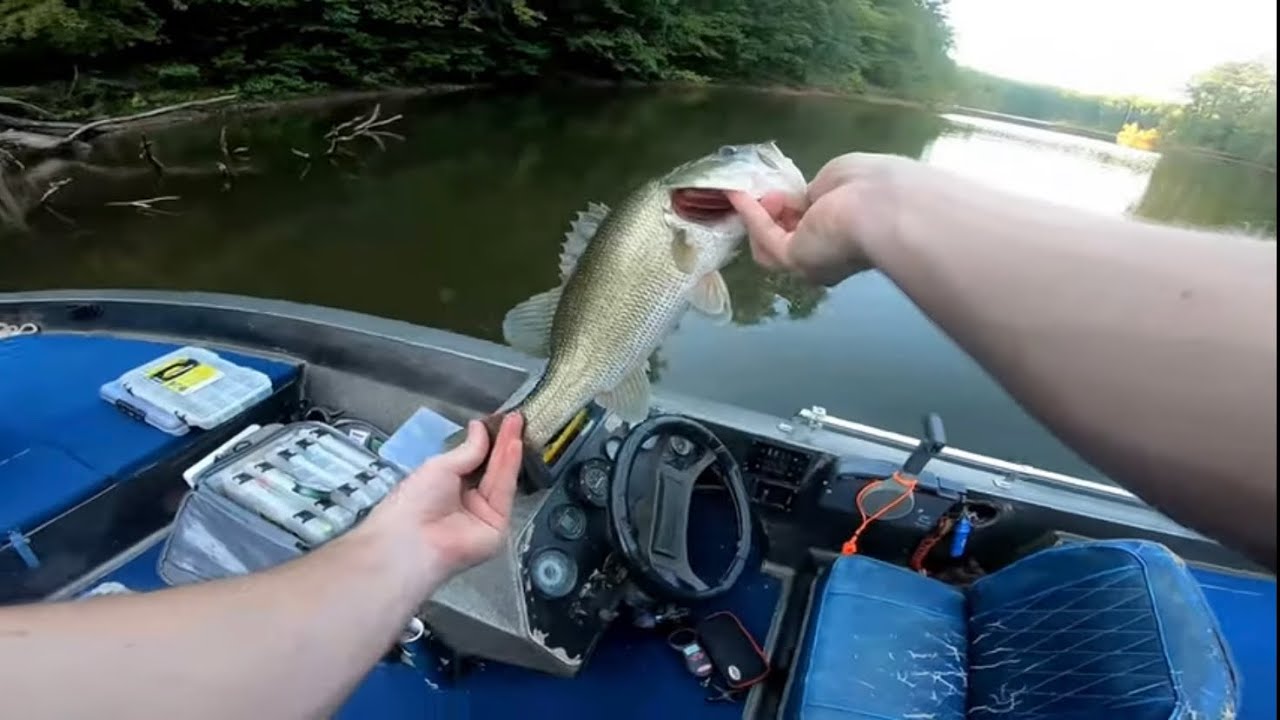 Early Fall Bass Fishing Falls Lake, NC YouTube