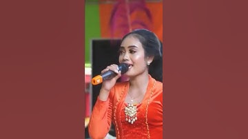 Ninggal Cerita#shorts #short #shortvideo #koplo #musikkoplo #musikdangdut