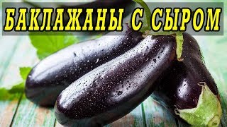 Баклажаны в духовке с сыром. Как приготовить баклажаны. Баклажаны в духовке с сыром. Как приготовить баклажаны.