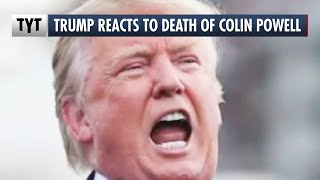 Trump's ILLUMINATING Reaction To Colin Powell's Death Wealth