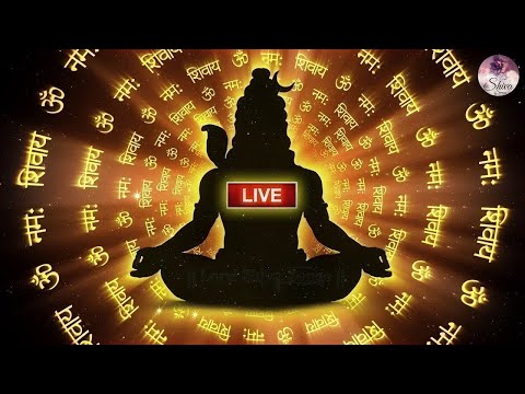 Om Namah Shivaya Most Powerful Meditation Mantra Of Lord Shiva ॐ ओम नम शवय मडटशन Om Namah Shivaya Most Powerful Meditation Mantra Of Lord Shiva ॐ ओम नम शवय मडटशन
