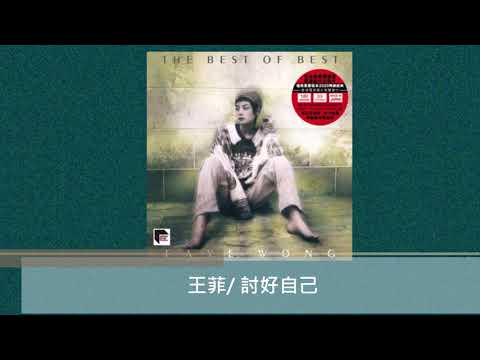 王菲/ 討好自己@The Best Of Best Faye Wong (2x ARS Vinyl)