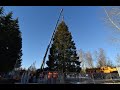 Доставка главной новогодней елки на Соборную площадь
