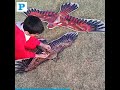 Aspire International Kite Festival at Aspire Park