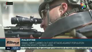 Israeli army carried out 1,637 attacks against population and property during April