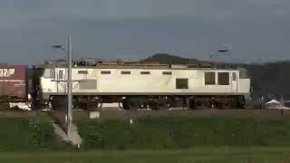 貨物列車　日本海縦貫線を走るEF510-510・514号機 2016/10/09