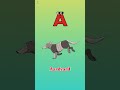 ABC Safari Animals Sounds | Alphabet Animals Sounds Song | Nursery Rhymes For Kids