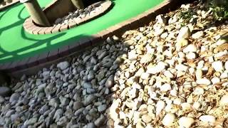 Grandparent fun week Thursday putt putt at Burke lake part 4