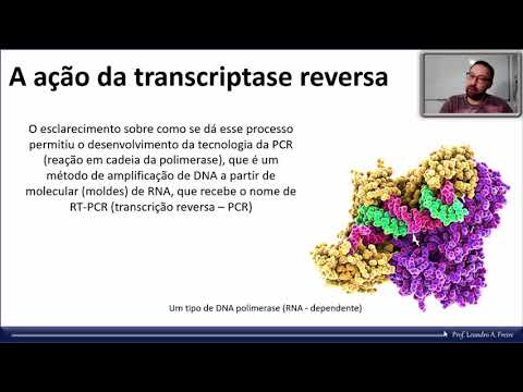 Vídeo: Qual enzima HIV usa a transcriptase reversa?