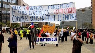 Protesta degli agricoltori a Bruxelles. Trattori davanti le istituzioni per chiedere sostegno…
