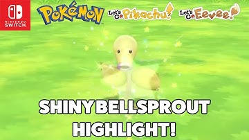 SHINY BELLSPROUT REACTION! - Pokemon Let