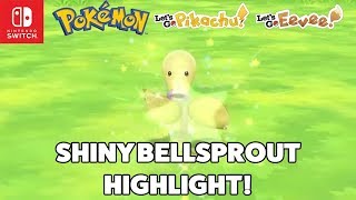 Shiny Bellsprout Reaction Pokemon Let S Go Pikachu And Let S Go Eevee Youtube