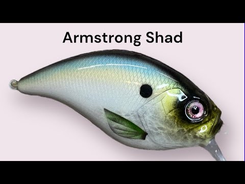 How to paint a custom Crankbait (Armstrong Shad) 