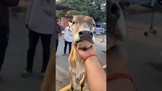 morning time 💖 #viralvideo #trending #dailyvlog #viral #shortvideo 🙏😃