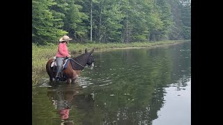 Pine Marten Run Bridle Trails of Michigan's U.P. by Holli Jacobs 229 views 8 months ago 3 minutes, 43 seconds