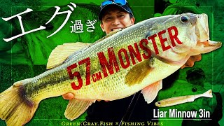 【57cmモンスター捕獲】赤松健 × ライアミノー3in / ミドスト & プロトジグヘッドで爆釣劇【Fishing Vibes】