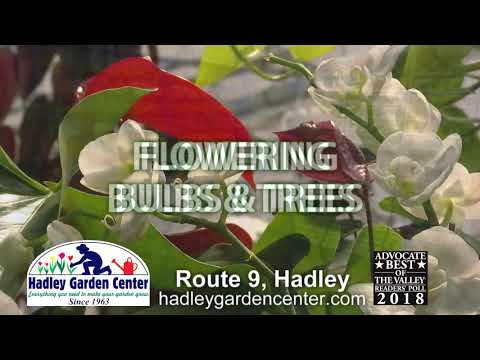 Hadley Garden Center Youtube