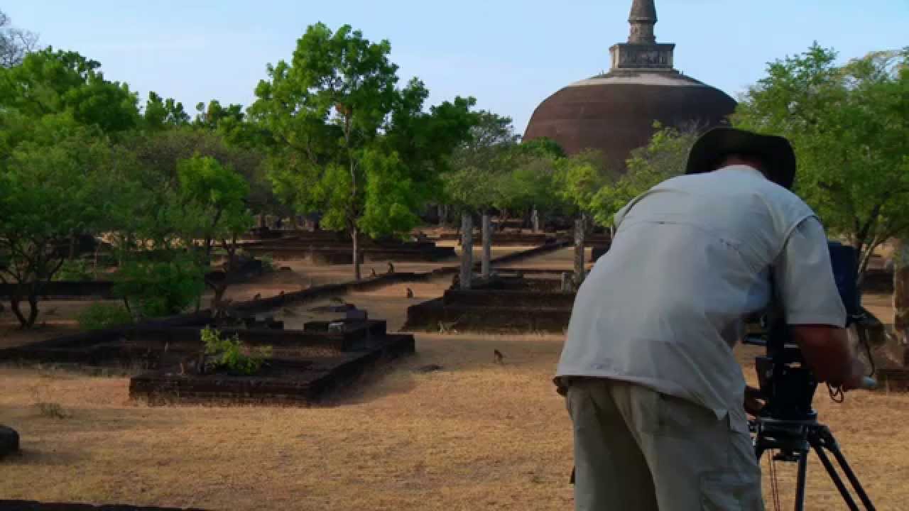 Monkey Kingdom: Making of the Documentary Movie Broll 2 | ScreenSlam