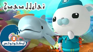 44 أوكتونوتس | تساعد الدلافين في إنقاذ الشعاب المرجانية | السلسلة 1 | الحلقة