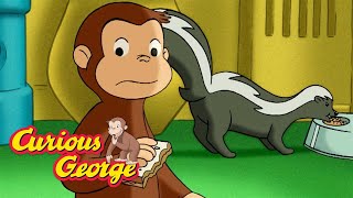 : Don't scare the skunk!  Curious George  Kids Cartoon  Kids Movies  Videos for Kids