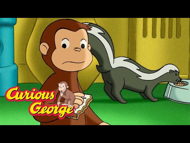 Don't scare the skunk! 🐵 Curious George 🐵 Kids Cartoon 🐵 Kids Movies 🐵 Videos for Kids class=